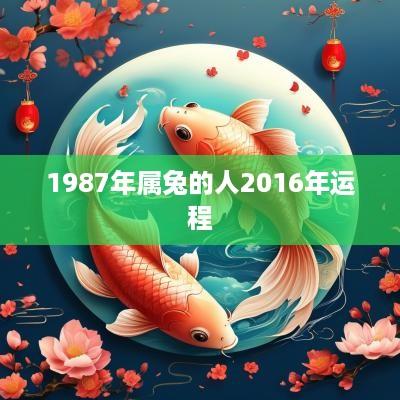 1987年属兔的人2016年运程