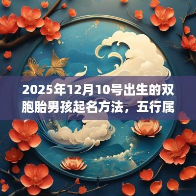 2025年12月10号出生的双胞胎男孩起名方法，五行属什么
