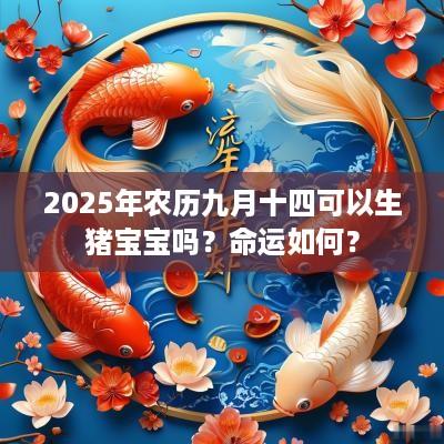 2025年农历九月十四可以生猪宝宝吗？命运如何？