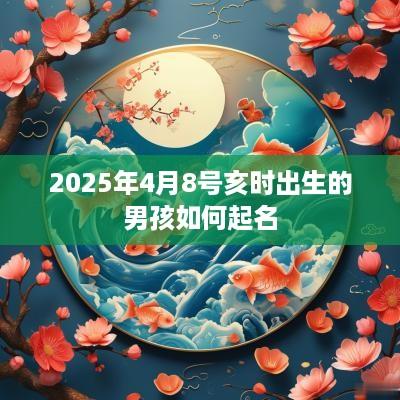 2025年4月8号亥时出生的男孩如何起名