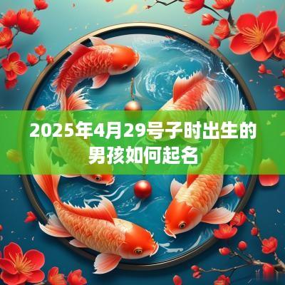 2025年4月29号子时出生的男孩如何起名