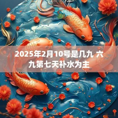 2025年2月10号是几九 六九第七天补水为主