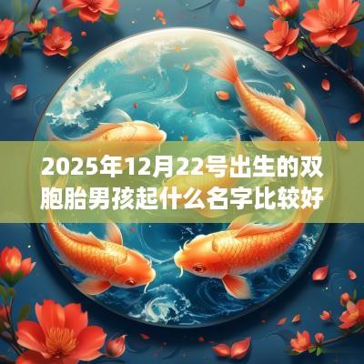 2025年12月22号出生的双胞胎男孩起什么名字比较好，五行属什么