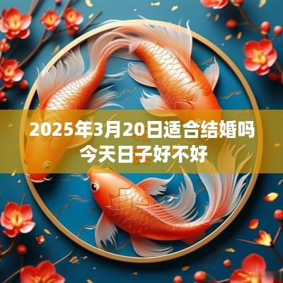 2025年3月20日适合结婚吗 今天日子好不好
