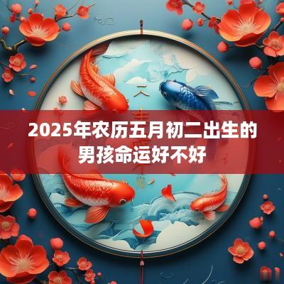 2025年农历五月初二出生的男孩命运好不好