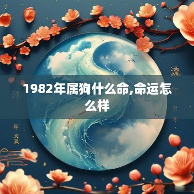 1982年属狗什么命,命运怎么样