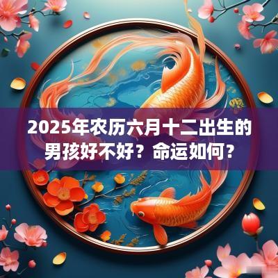 2025年农历六月十二出生的男孩好不好？命运如何？