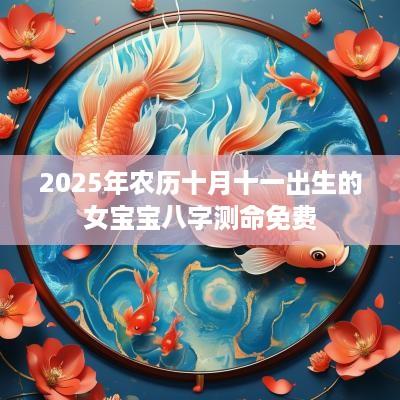 2025年农历十月十一出生的女宝宝八字测命免费