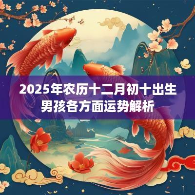 2025年农历十二月初十出生男孩各方面运势解析