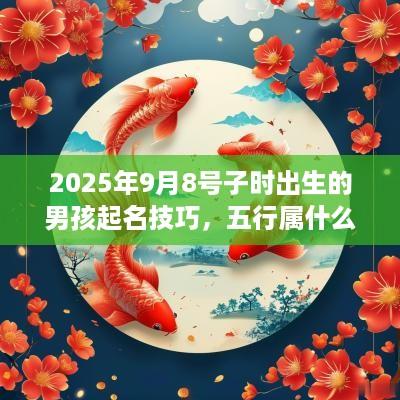 2025年9月8号子时出生的男孩起名技巧，五行属什么