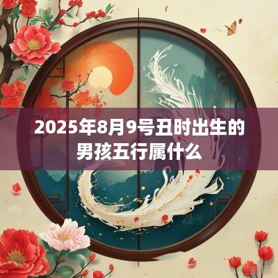 2025年8月9号丑时出生的男孩五行属什么