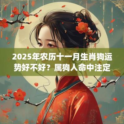 2025年农历十一月生肖狗运势好不好？属狗人命中注定的恋人
