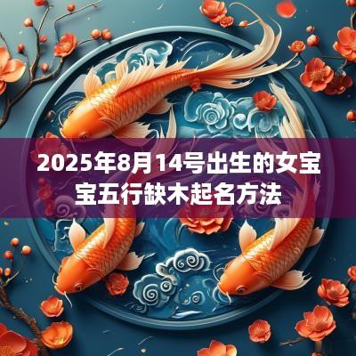 2025年8月14号出生的女宝宝五行缺木起名方法