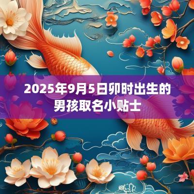 2025年9月5日卯时出生的男孩取名小贴士