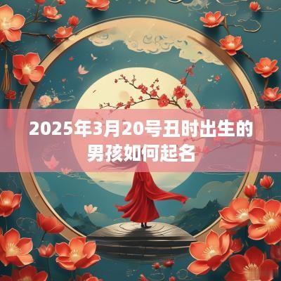 2025年3月20号丑时出生的男孩如何起名