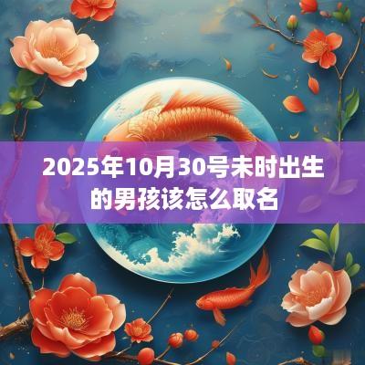 2025年10月30号未时出生的男孩该怎么取名